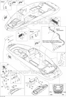 Body And Accessories 2