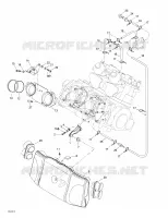 Air Intake System