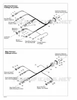 Electrical Harness