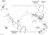 Exhaust System