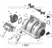Air Intake Manifold And Throttle Body