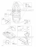 Body And Accessories 4