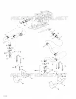 Exhaust System