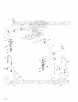 Exhaust System