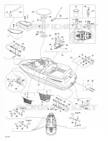 Body And Accessories 1
