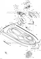 Body, Front View