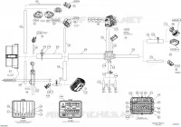 Electrical Harness Main