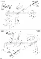Exhaust System
