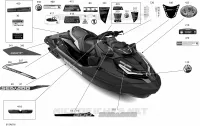 Body - Decals