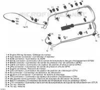 Engine Harness