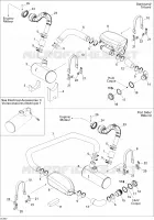 Exhaust System