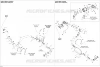 Exhaust System