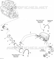 Exhaust System