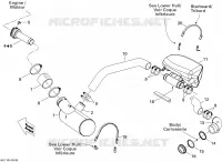 Exhaust System