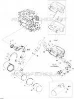 Exhaust System