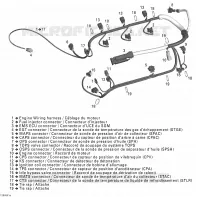 Engine Harness