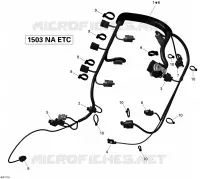 Engine Harness
