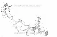 Electrical System