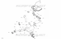 Exhaust