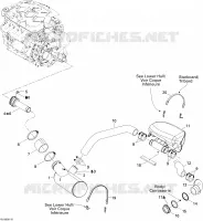 Exhaust System