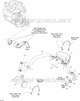 Exhaust System
