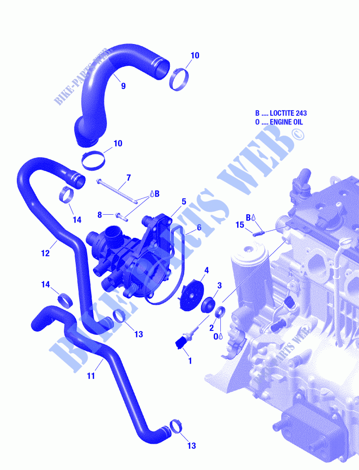 Engine Cooling for Sea-Doo WAKE 155 2019