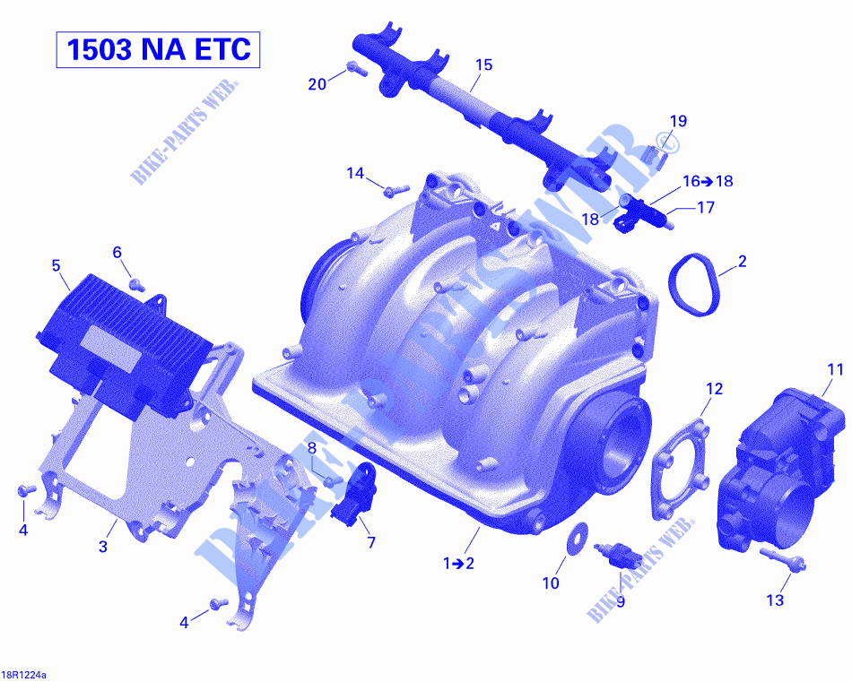 Air Intake Manifold And Throttle Body 2_Sea Doo for Sea-Doo WAKE 155 (35CA/35CB) 2012