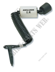 SAFETY LANYARD, LEARNING KEY